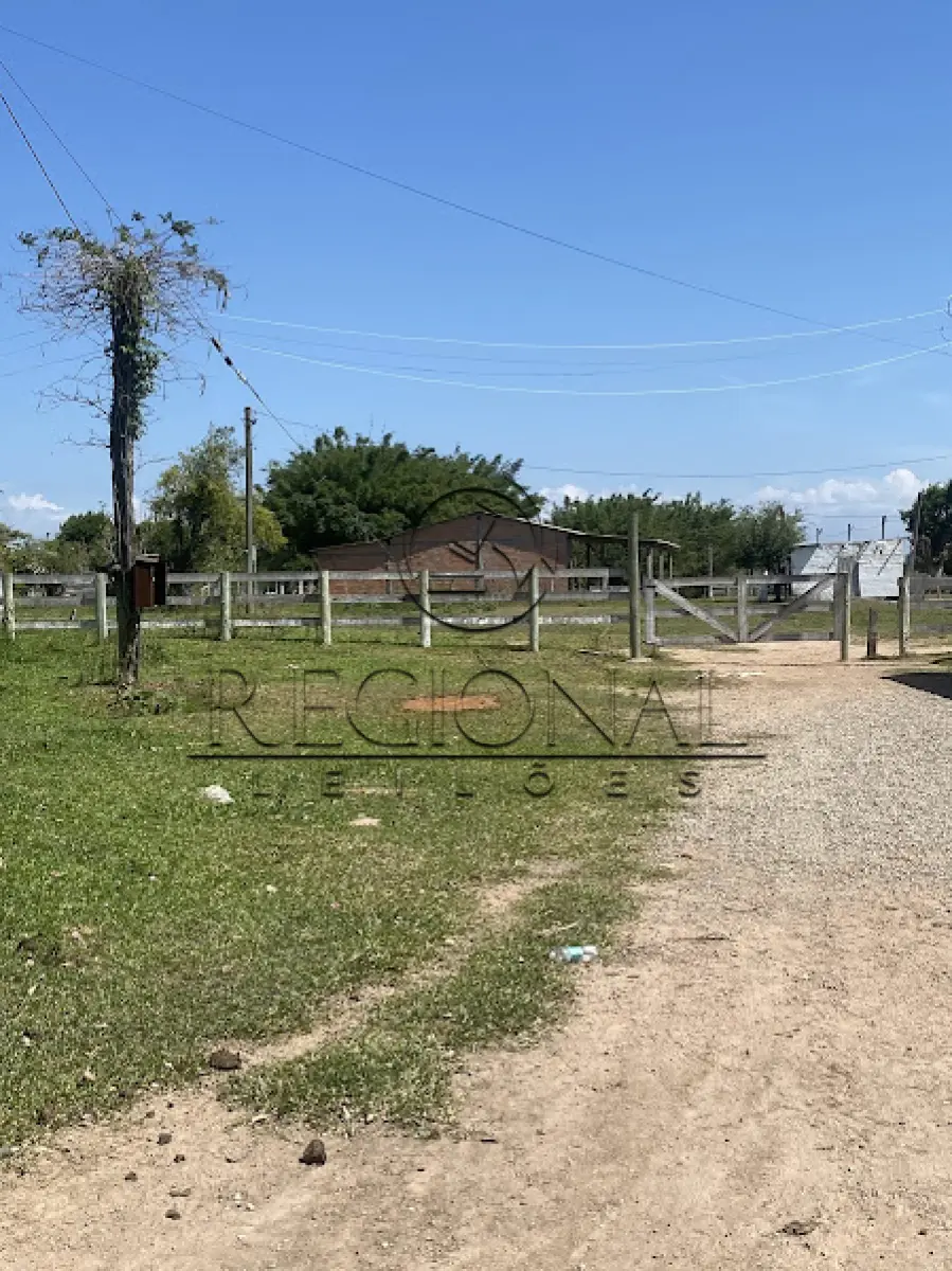 LOTE 001 - 9HA 4.171,00M2 DE TERRAS COM BENFEITORIAS (BUTIA/RS)