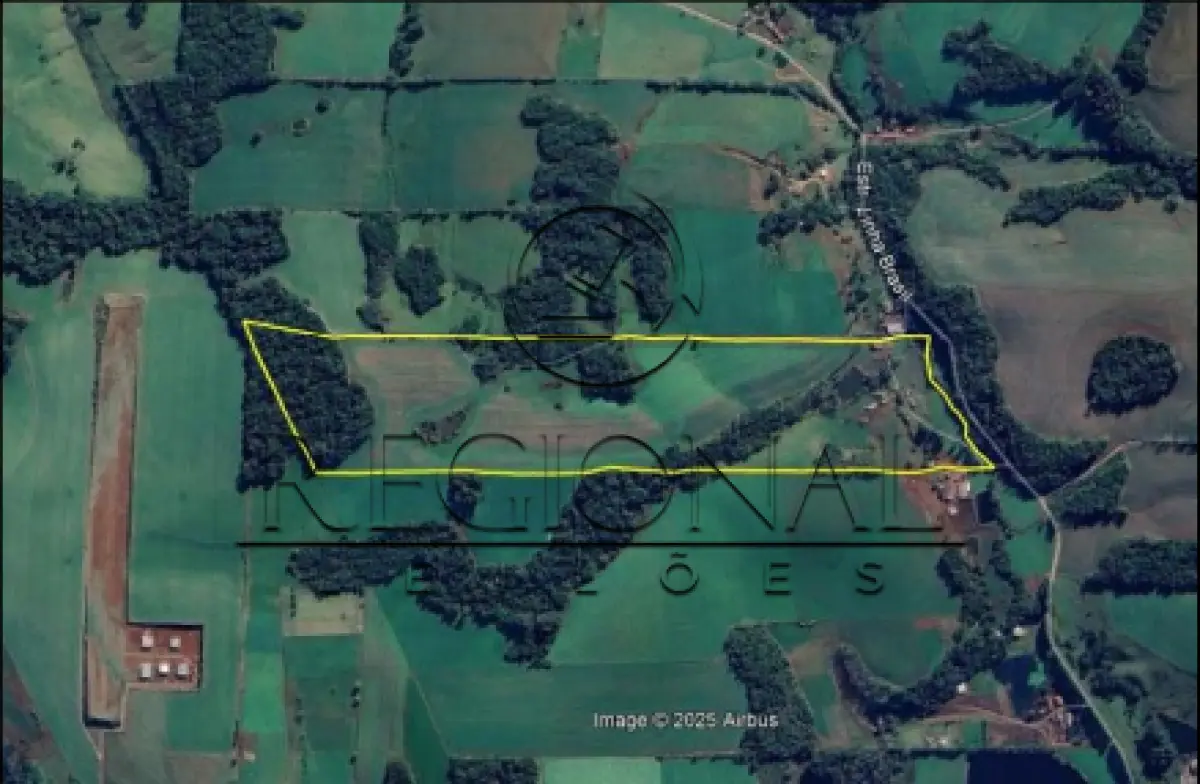 LOTE 001 - 24,5 HA COM LAVOURA (PANAMBI/RS)