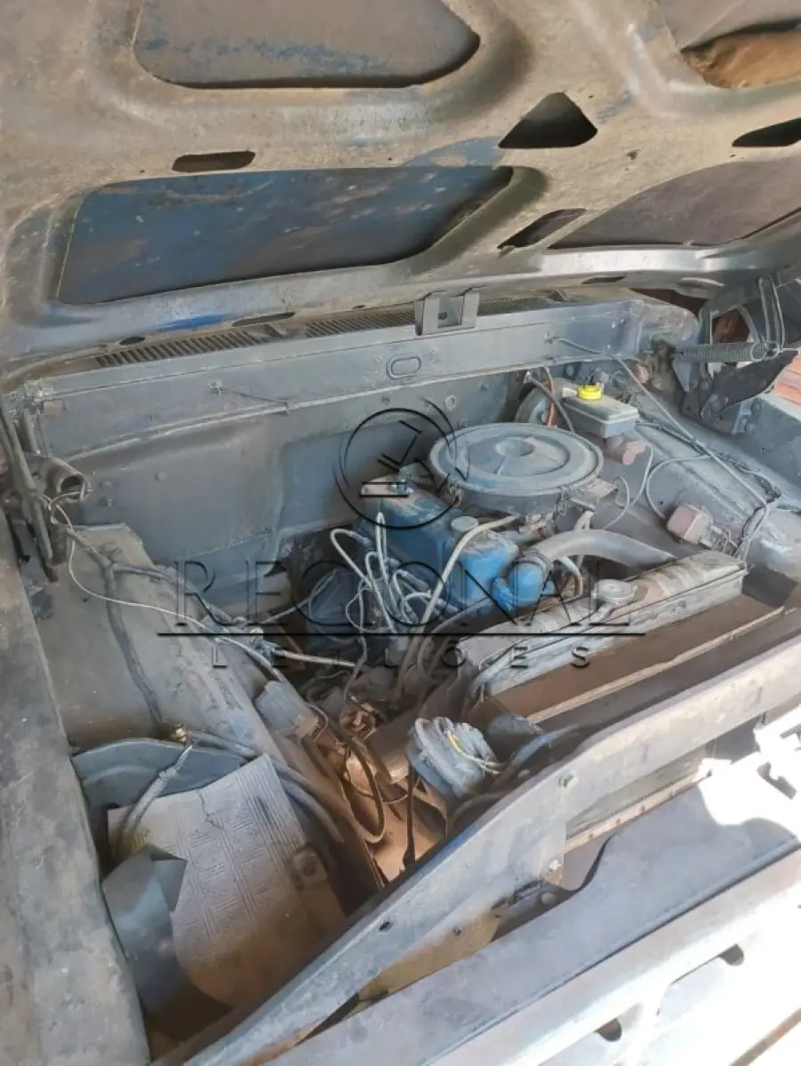 LOTE 005 - FORD/F100 1983/1983 (CAÇAPAVA DO SUL/RS)