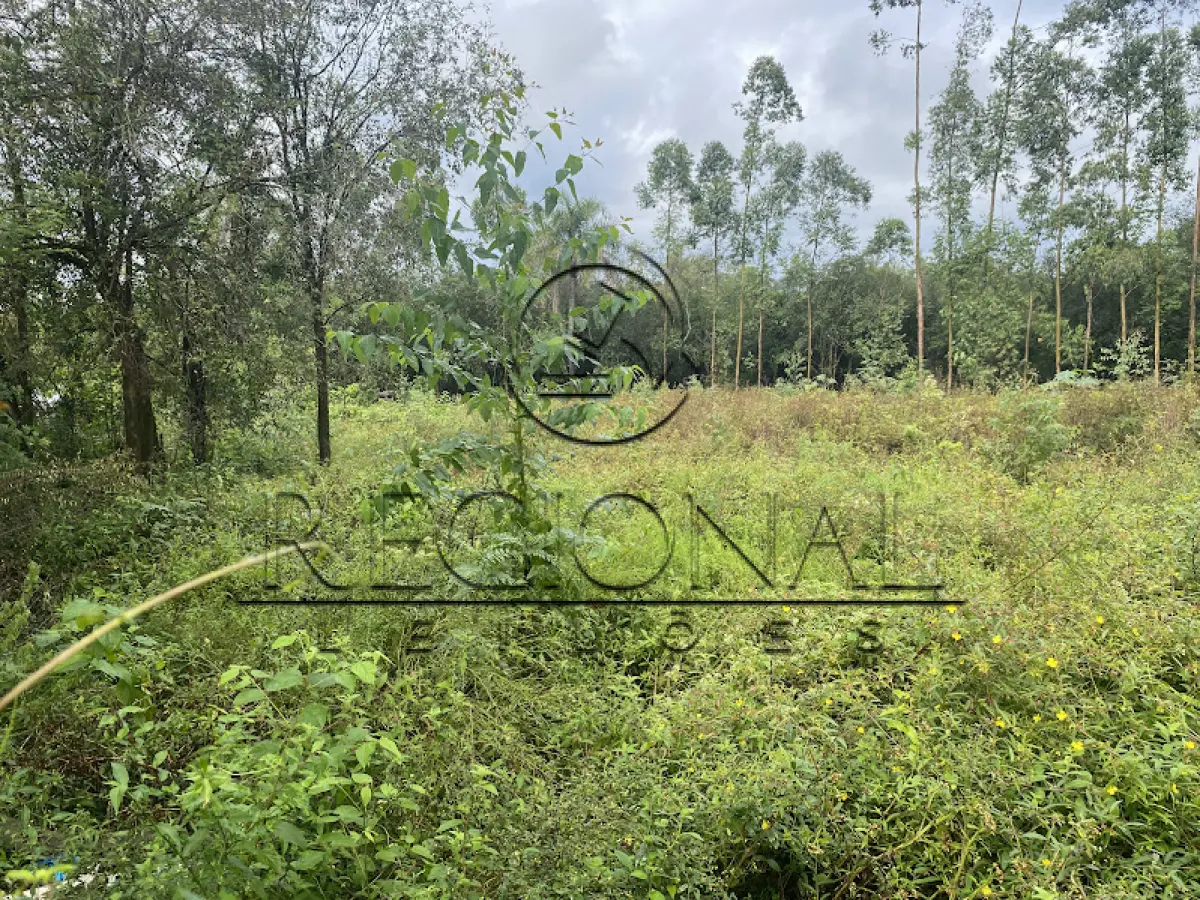 LOTE 004 - 50% UMA AREA DE TERRENOS 2.926,0MTS2 (MONTENEGRO/RS)