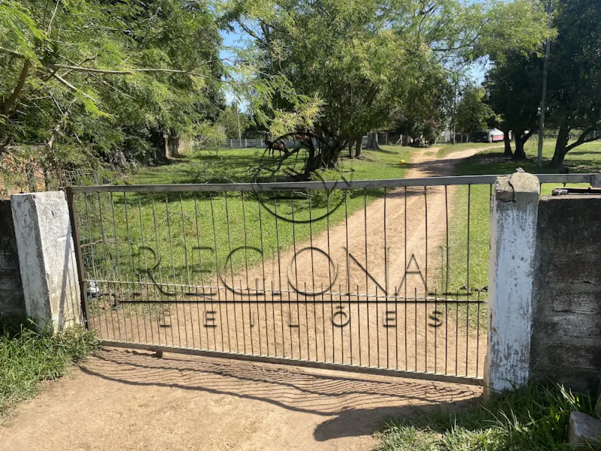 LOTE 001 - 9HA 4.171,00M2 DE TERRAS COM BENFEITORIAS (BUTIA/RS)