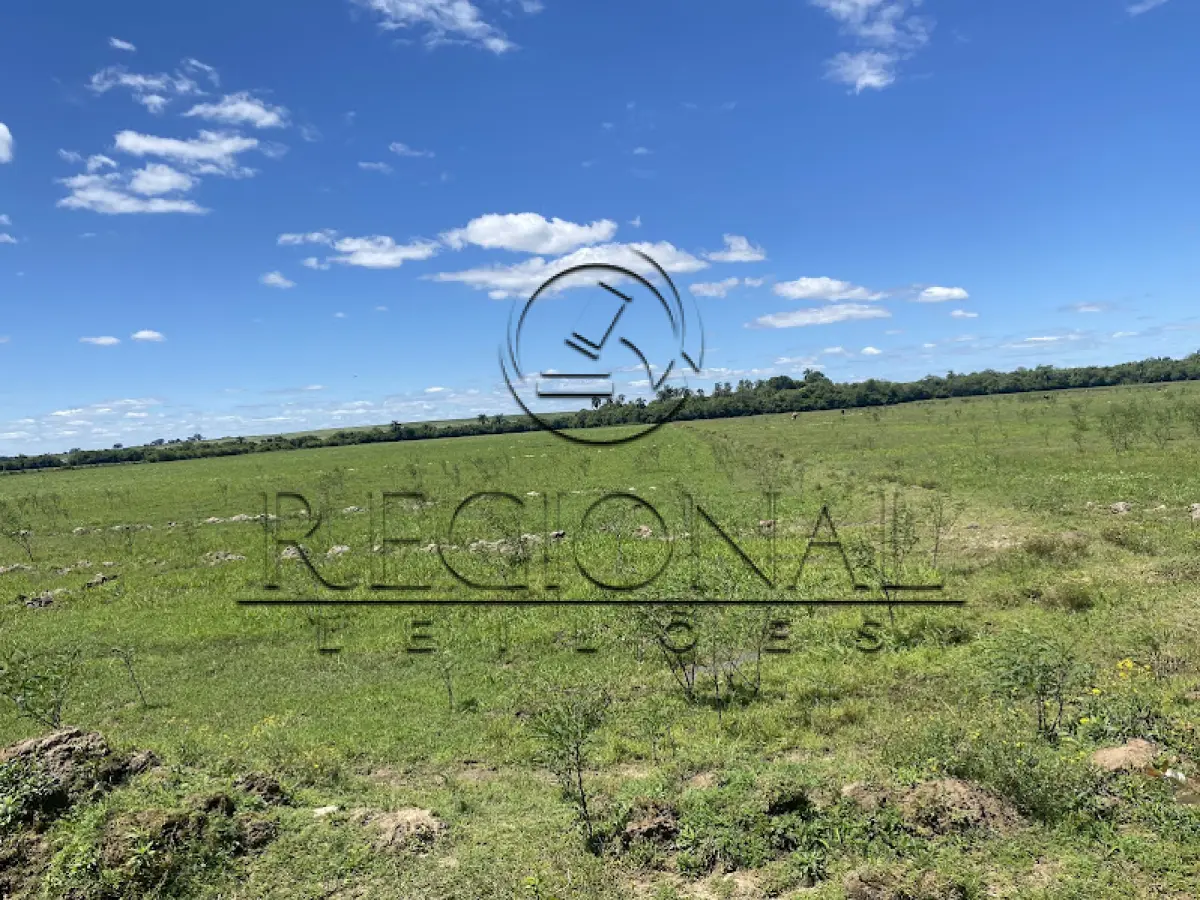LOTE 004