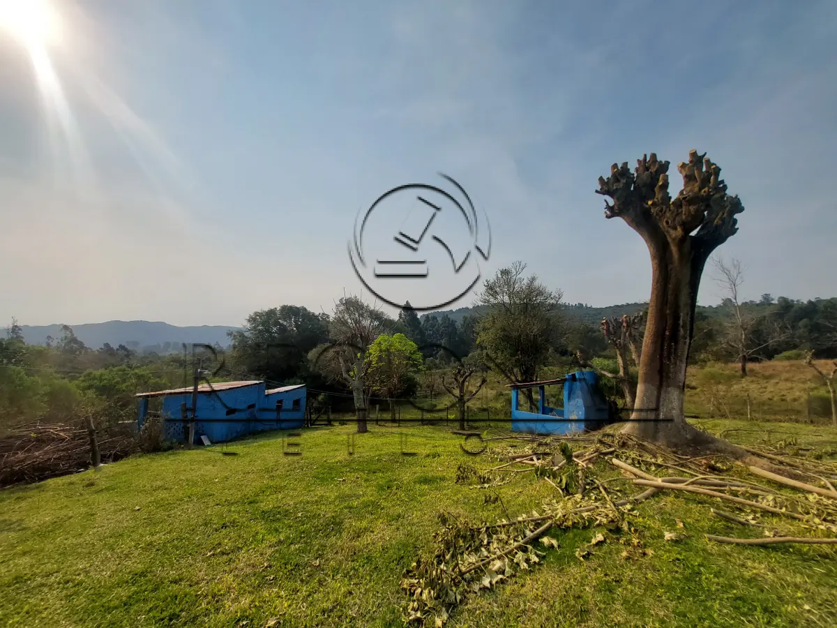 LOTE 003 - AREA DE TERRAS (23.942,12M2) COM BENFEITORIAS (CAÇAPAVA DO SUL/RS)