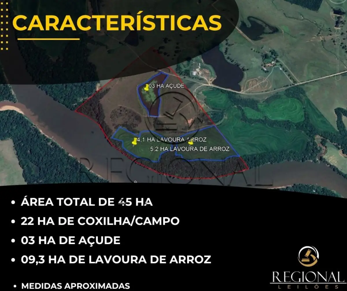 45 HA PROX CIDADE CACHOEIRA DO SUL/RS