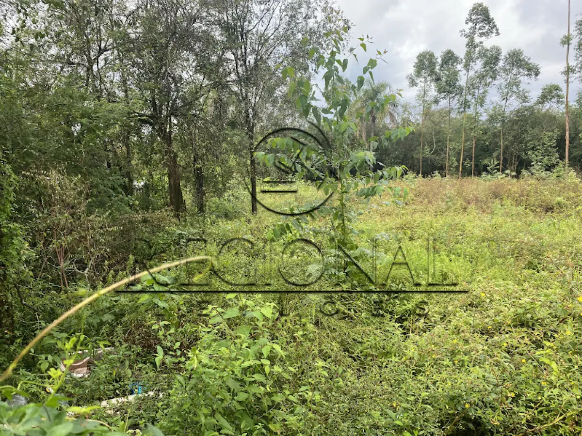 LOTE 004 - 50% UMA AREA DE TERRENOS 2.926,0MTS2 (MONTENEGRO/RS)