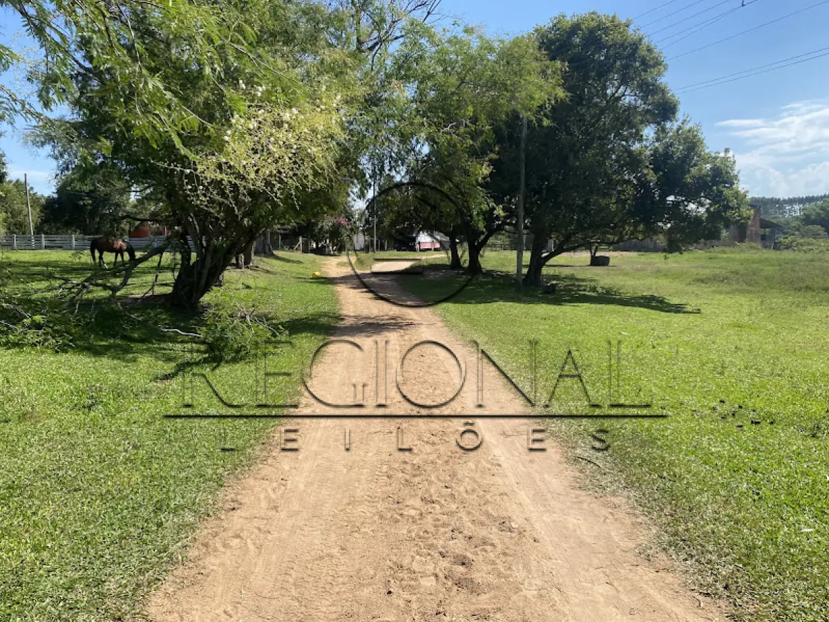 LOTE 001 - 9HA 4.171,00M2 DE TERRAS COM BENFEITORIAS (BUTIA/RS)