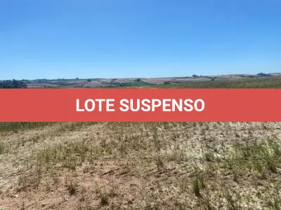 LOTE 015 - AREA DE TERRAS 17,03,75HA (SÃO SEPE/RS)