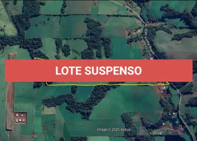 LOTE 001 - 24,5 HA COM LAVOURA (PANAMBI/RS)