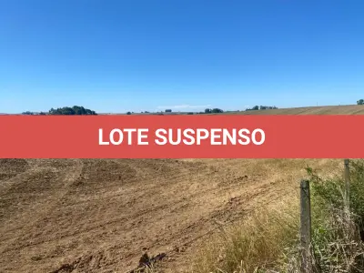 LOTE 015 - AREA DE TERRAS 17,03,75HA (SÃO SEPE/RS)