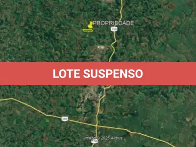 LOTE 001 - 24,5 HA COM LAVOURA (PANAMBI/RS)