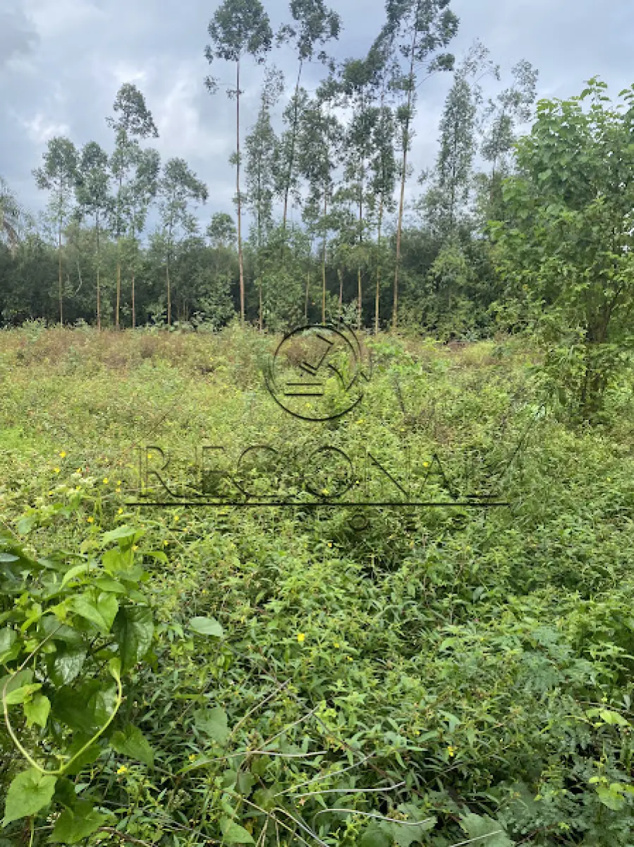 LOTE 004 - 50% UMA AREA DE TERRENOS 2.926,0MTS2 (MONTENEGRO/RS)