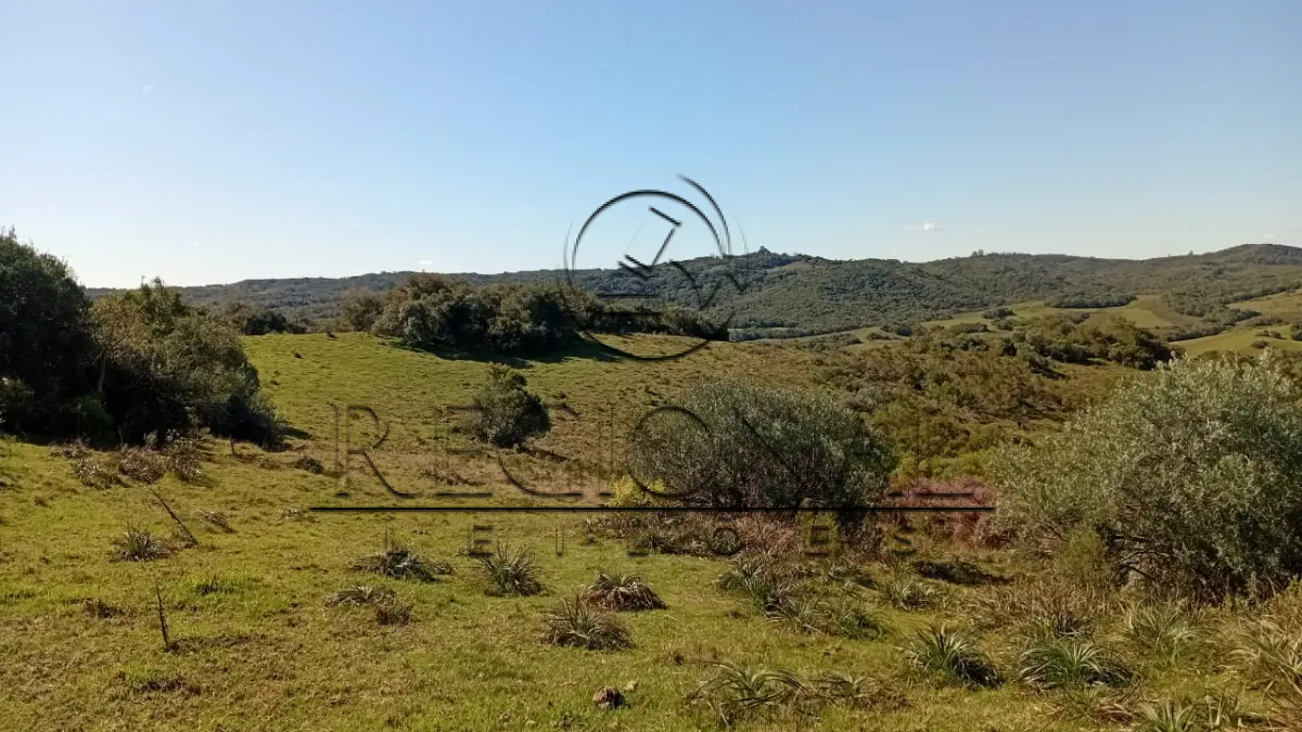 LOTE 015 - AREA DE TERRAS COM 75,51 HA E BENFEITORIAS (PIRATINI/RS)