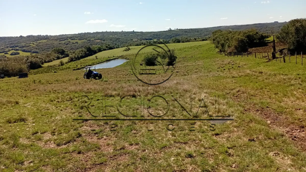 LOTE 015 - AREA DE TERRAS COM 75,51 HA E BENFEITORIAS (PIRATINI/RS)