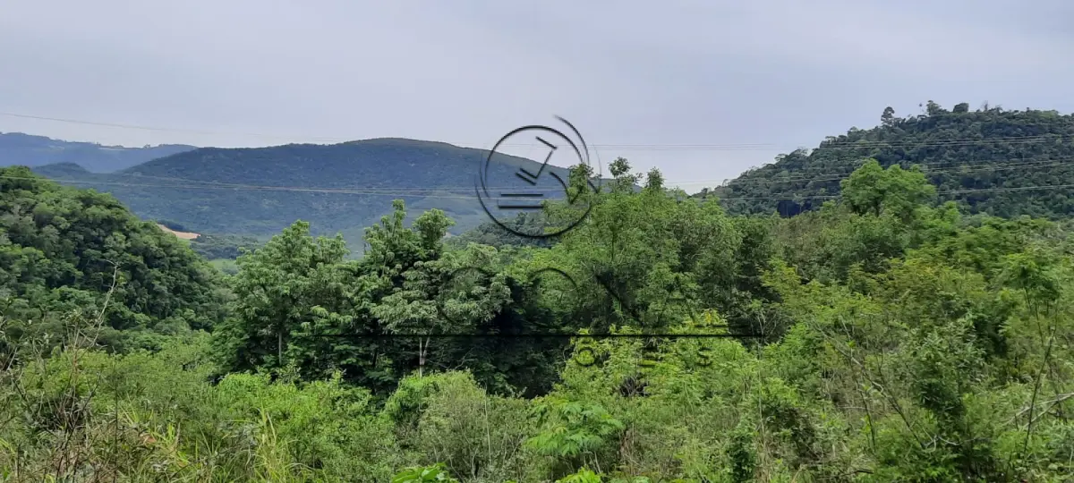 LOTE 002 - 06 HECTARES (ARROIO DOS TIGRES/RS)