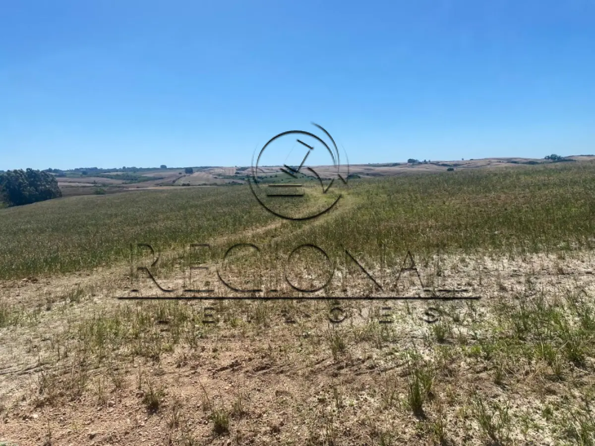 LOTE 016 - AREA DE TERRAS 16,19,92 HA (SÃO SEPE/RS)