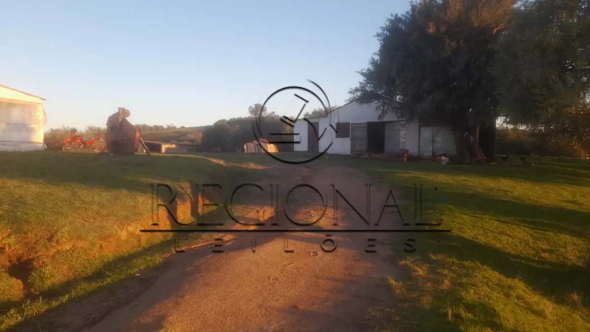 LOTE 015 - AREA DE TERRAS COM 75,51 HA E BENFEITORIAS (PIRATINI/RS)