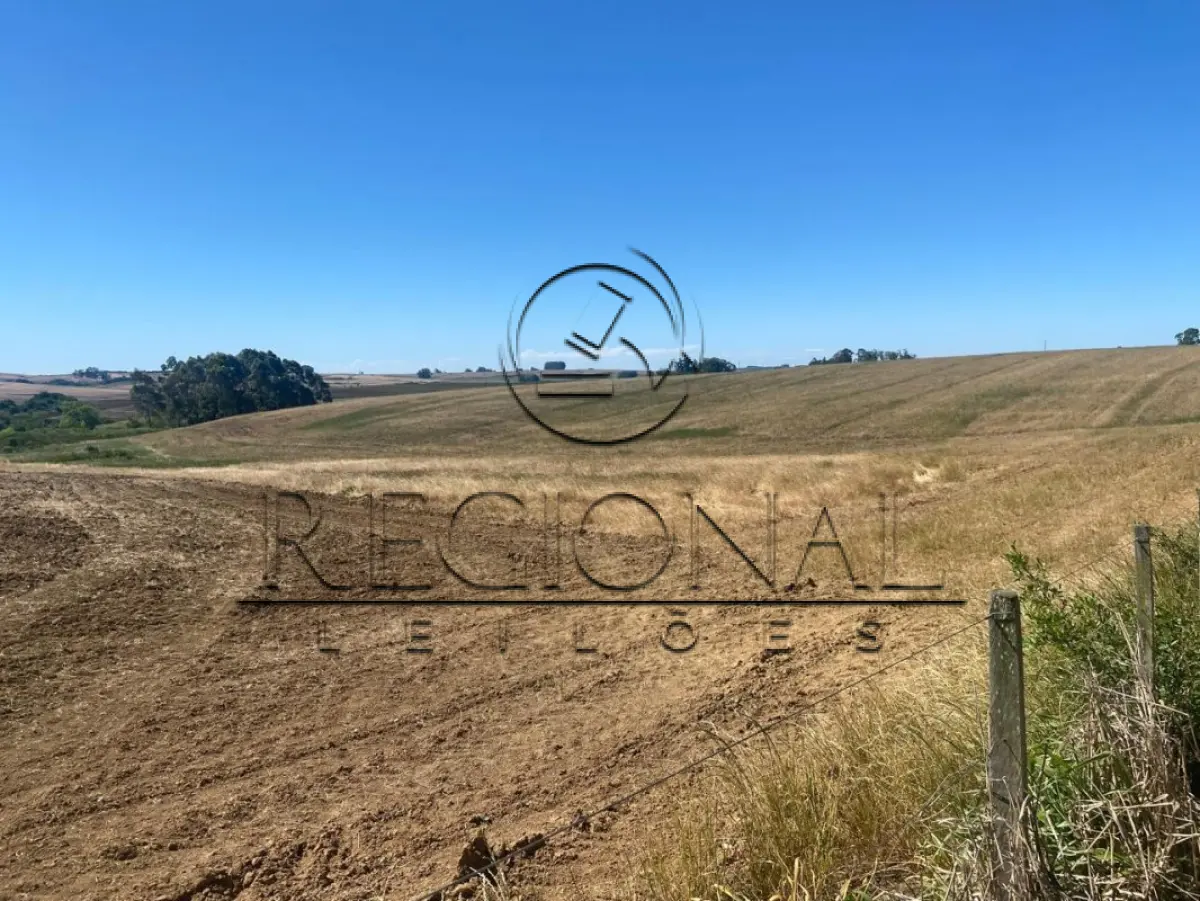 LOTE 015 - AREA DE TERRAS 17,03,75HA (SÃO SEPE/RS)