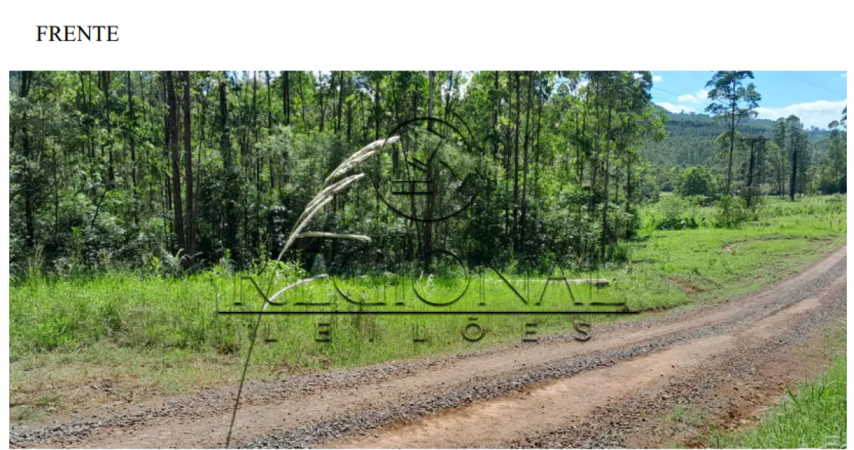 LOTE 005 - AREA DE TERRAS 58.336M2 (BROCHIER/RS)