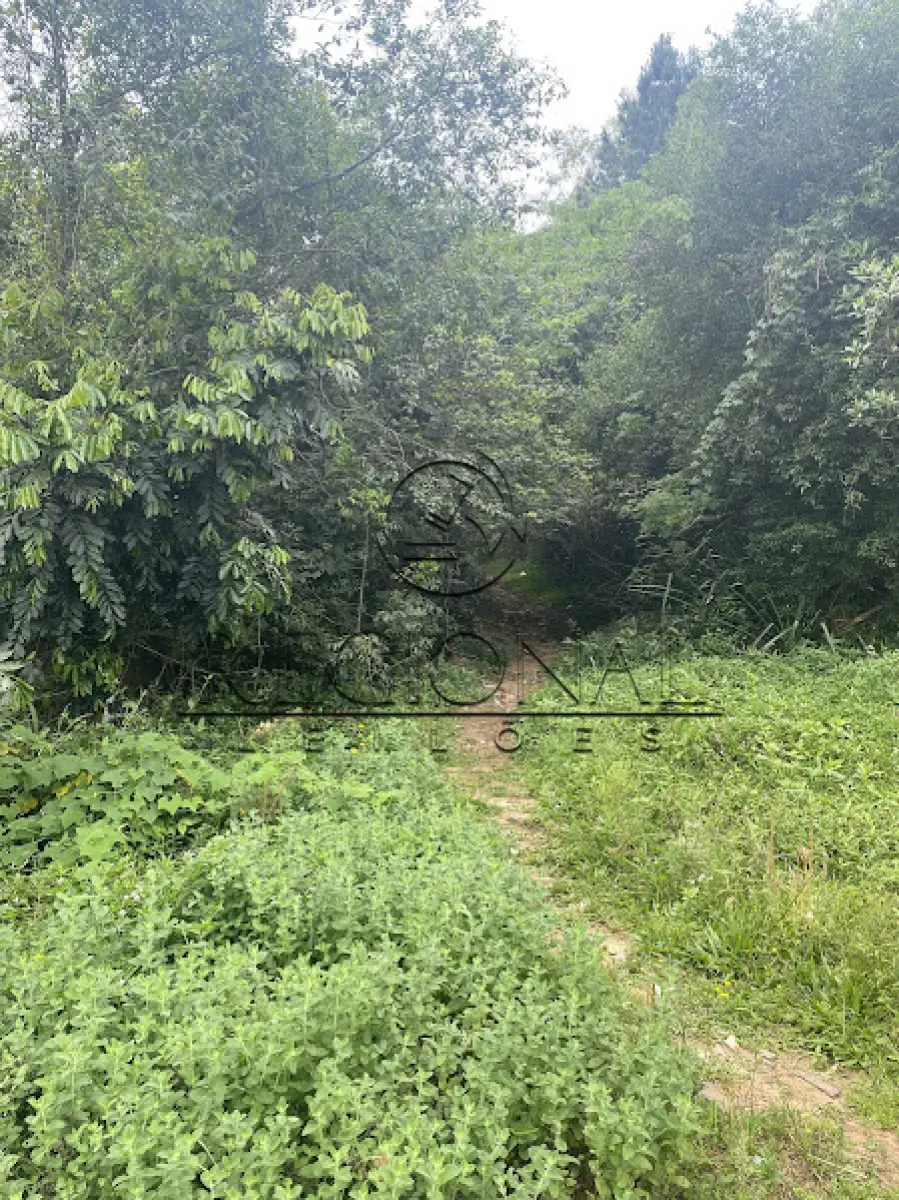 LOTE 007 - TERRENO LOTE 02 430MTS2 (MONTENEGRO/RS)