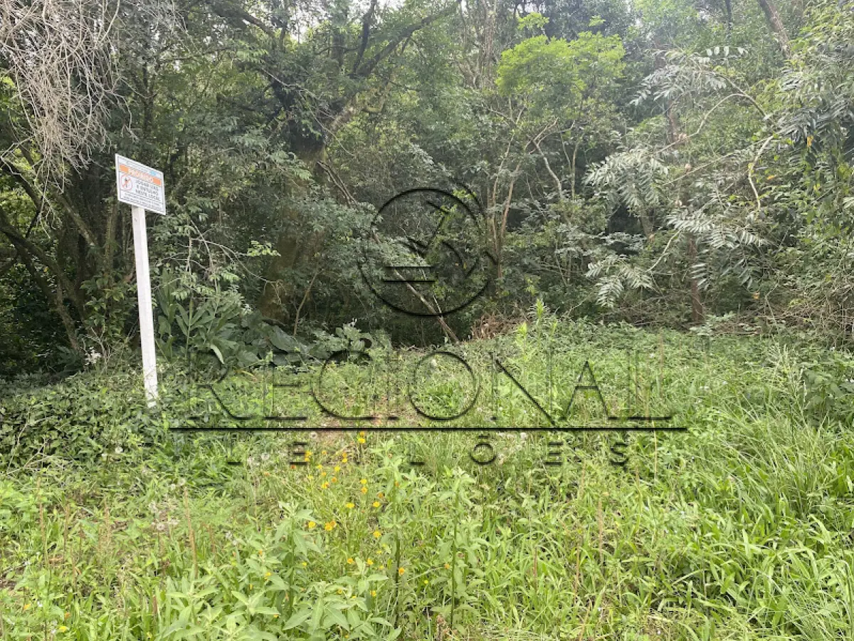 LOTE 008 - TERRENO LOTE 03 430MTS2 (MONTENEGRO/RS)
