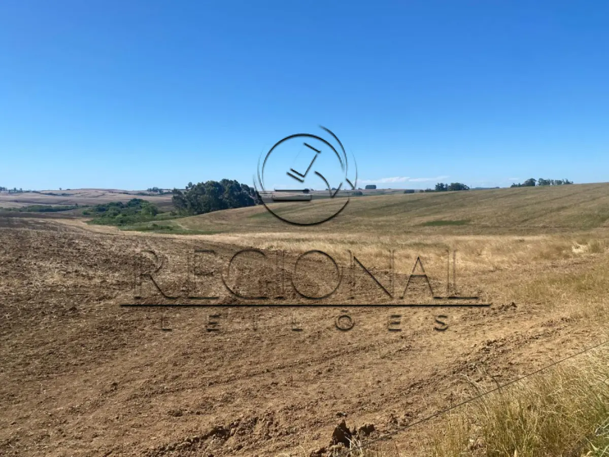 LOTE 016 - AREA DE TERRAS 16,19,92 HA (SÃO SEPE/RS)