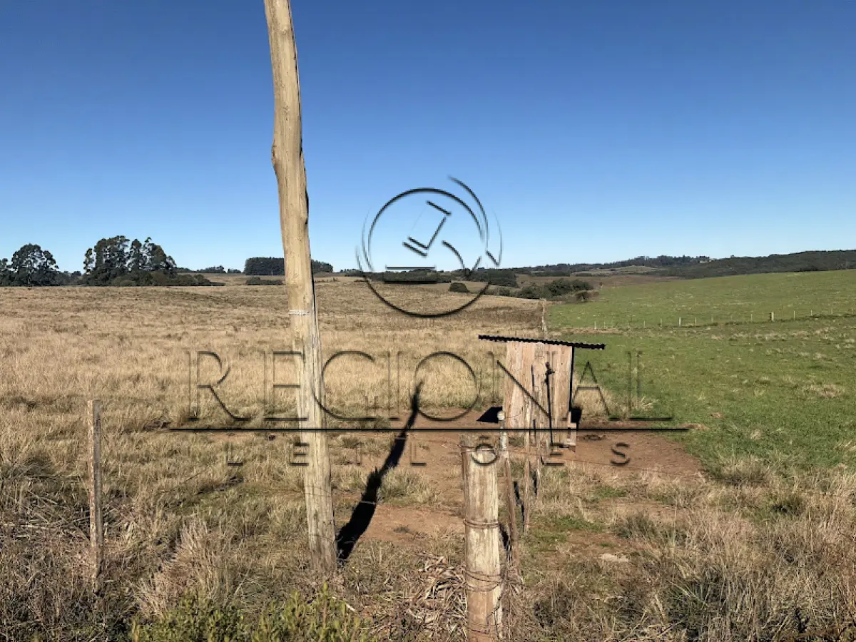 LOTE 011 - FRAÇÃO DE 09,36 HECTARES (ENCRUZILHADA DO SUL/RS)