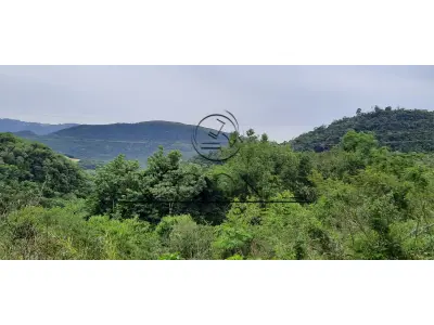 LOTE 002 - 06 HECTARES (ARROIO DOS TIGRES/RS)