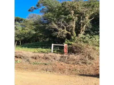 Lote 004 - 03 hectares (ibiraiaras/rs) aceita lance parcelado