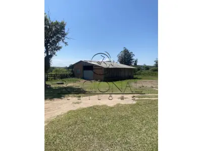 LOTE 001 - 9HA 4.171,00M2 DE TERRAS COM BENFEITORIAS (BUTIA/RS)