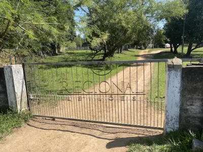 LOTE 001 - 9HA 4.171,00M2 DE TERRAS COM BENFEITORIAS (BUTIA/RS)