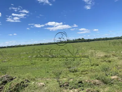 LOTE 004 - FRAÇÃO IDEAL 32.608,125M2 AREA RURAL (CACHOEIRA DO SUL/RS)