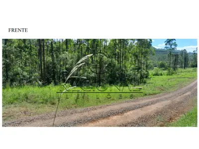 LOTE 005 - AREA DE TERRAS 58.336M2 (BROCHIER/RS)
