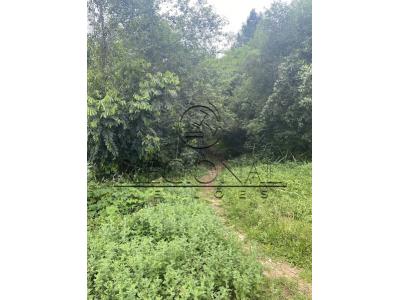 LOTE 011 - TERRENO LOTE 02 430MTS2 (MONTENEGRO/RS)