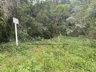 LOTE 012 - TERRENO LOTE 03 430MTS2 (MONTENEGRO/RS)