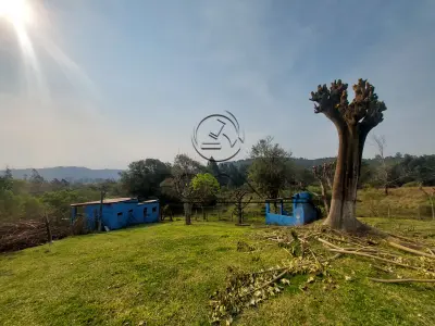 LOTE 003 - AREA DE TERRAS (23.942,12M2) COM BENFEITORIAS (CAÇAPAVA DO SUL/RS)