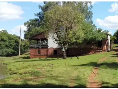 LOTE 001 - 24,5 HA COM LAVOURA (PANAMBI/RS)