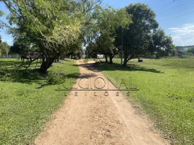 LOTE 001 - 9HA 4.171,00M2 DE TERRAS COM BENFEITORIAS (BUTIA/RS)