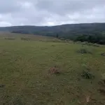 AREA DE TERRAS 457,378288 HECTARES