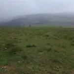 AREA DE TERRAS 457,378288 HECTARES