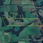 LOTE 001 - 24,5 HA COM LAVOURA (PANAMBI/RS)
