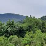 LOTE 002 - 06 HECTARES (ARROIO DOS TIGRES/RS)