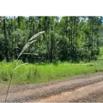 LOTE 005 - AREA DE TERRAS 58.336M2 (BROCHIER/RS)