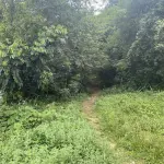 LOTE 011 - TERRENO LOTE 02 430MTS2 (MONTENEGRO/RS)