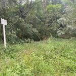 LOTE 012 - TERRENO LOTE 03 430MTS2 (MONTENEGRO/RS)