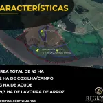 45 HA PROX CIDADE CACHOEIRA DO SUL/RS