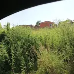 LOTE 015 - TERRENO 285,0MT2 - LOTE 11 (ROSÁRIO DO SUL/RS)