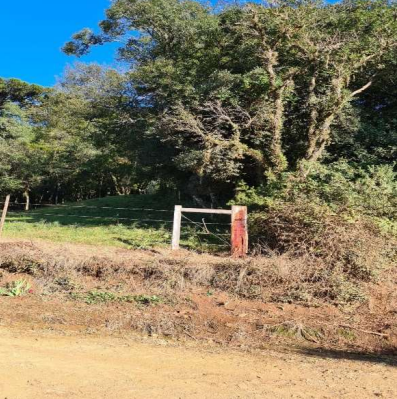03 hectares (IBIRAIARAS/RS)