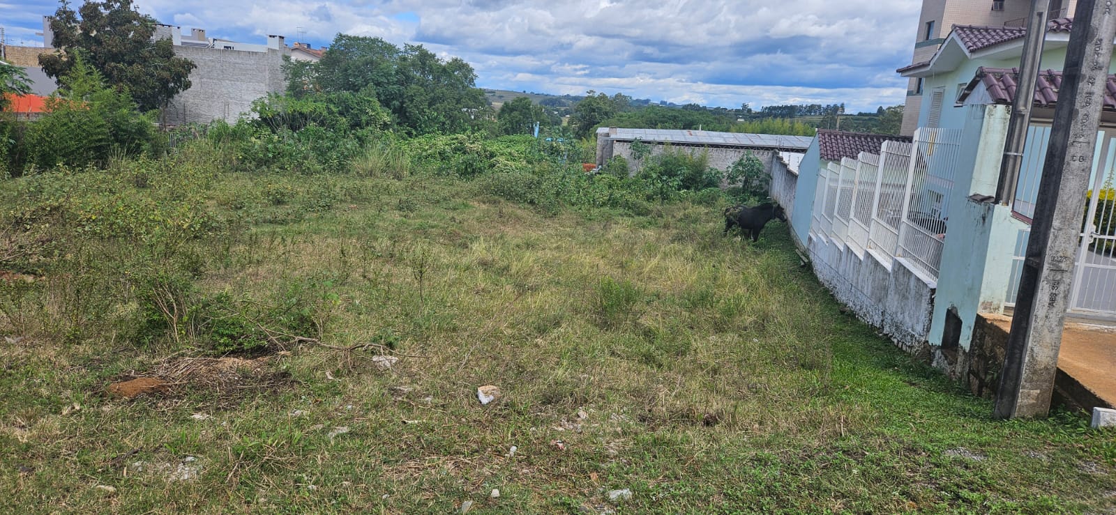 TERRENO 396,40M2 (SÃO SEPE/RS)