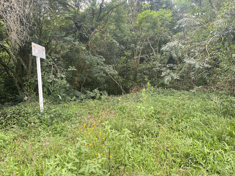 Terreno Lote 03 430mts2 (montenegro/rs)